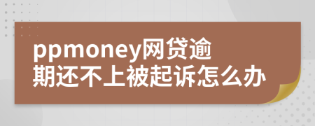 ppmoney網(wǎng)貸逾期還不上被起訴怎么辦