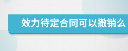 效力待定合同可以撤銷(xiāo)么