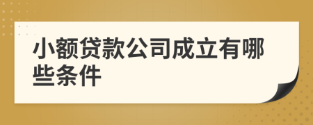 小額貸款公司成立有哪些條件