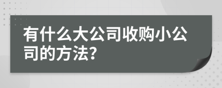 有什么大公司收購(gòu)小公司的方法？
