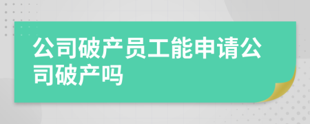 公司破產(chǎn)員工能申請(qǐng)公司破產(chǎn)嗎