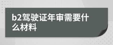 b2駕駛證年審需要什么材料
