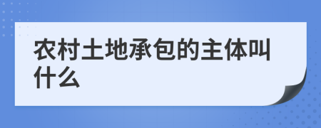 農(nóng)村土地承包的主體叫什么