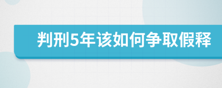 判刑5年該如何爭取假釋