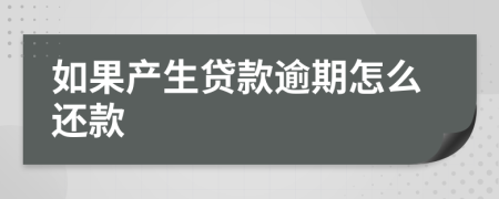 如果產(chǎn)生貸款逾期怎么還款