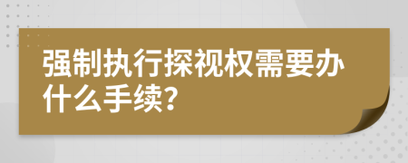 強制執(zhí)行探視權(quán)需要辦什么手續(xù)？