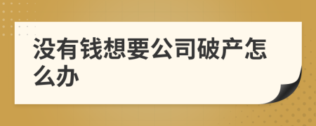 沒有錢想要公司破產(chǎn)怎么辦