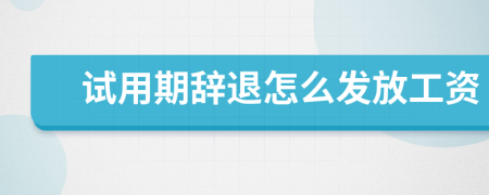 試用期辭退怎么發(fā)放工資