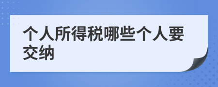 個人所得稅哪些個人要交納