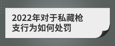 2022年對于私藏槍支行為如何處罰