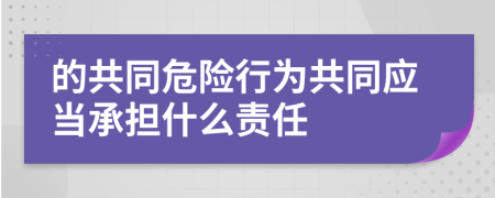 的共同危險行為共同應當承擔什么責任