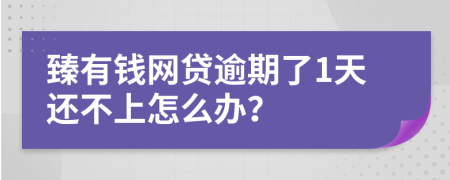 臻有錢網(wǎng)貸逾期了1天還不上怎么辦？