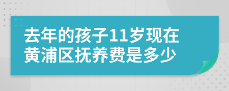 去年的孩子11歲現(xiàn)在黃浦區(qū)撫養(yǎng)費(fèi)是多少