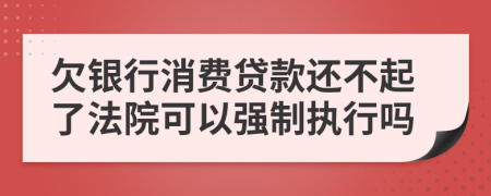 欠銀行消費貸款還不起了法院可以強制執(zhí)行嗎