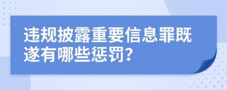 違規(guī)披露重要信息罪既遂有哪些懲罰？