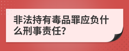 非法持有毒品罪應(yīng)負(fù)什么刑事責(zé)任？