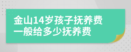 金山14歲孩子撫養(yǎng)費一般給多少撫養(yǎng)費