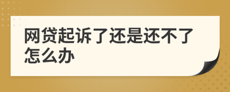 網(wǎng)貸起訴了還是還不了怎么辦