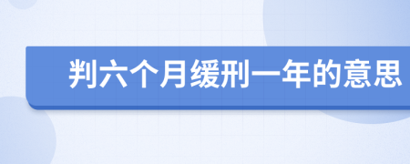 判六個月緩刑一年的意思