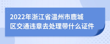 2022年浙江省溫州市鹿城區(qū)交通違章去處理帶什么證件