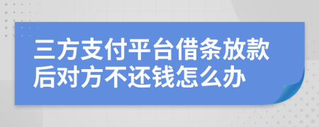 三方支付平臺(tái)借條放款后對(duì)方不還錢怎么辦