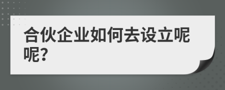 合伙企業(yè)如何去設(shè)立呢呢？