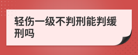 輕傷一級(jí)不判刑能判緩刑嗎