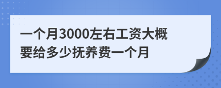一個月3000左右工資大概要給多少撫養(yǎng)費一個月