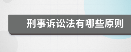 刑事訴訟法有哪些原則