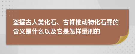 盜掘古人類化石、古脊椎動(dòng)物化石罪的含義是什么以及它是怎樣量刑的