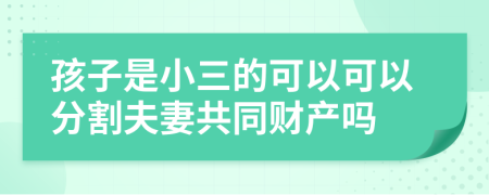 孩子是小三的可以可以分割夫妻共同財(cái)產(chǎn)嗎