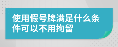 使用假號(hào)牌滿足什么條件可以不用拘留
