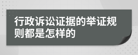 行政訴訟證據(jù)的舉證規(guī)則都是怎樣的