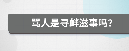 罵人是尋釁滋事嗎？