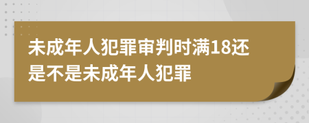 未成年人犯罪審判時(shí)滿18還是不是未成年人犯罪