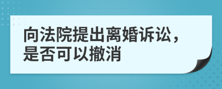 向法院提出離婚訴訟，是否可以撤消