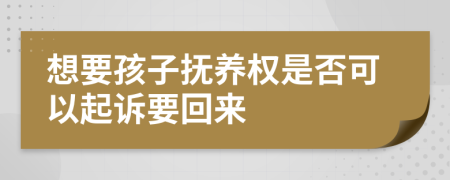 想要孩子撫養(yǎng)權(quán)是否可以起訴要回來