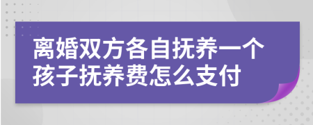 離婚雙方各自撫養(yǎng)一個(gè)孩子撫養(yǎng)費(fèi)怎么支付