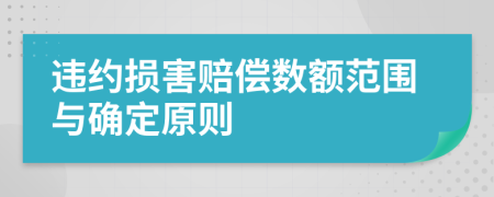 違約損害賠償數(shù)額范圍與確定原則