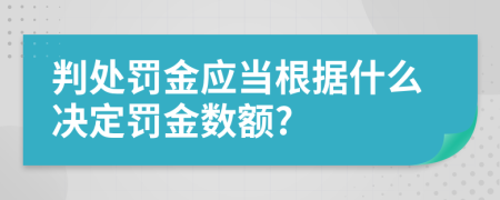 判處罰金應(yīng)當(dāng)根據(jù)什么決定罰金數(shù)額?