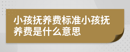 小孩撫養(yǎng)費(fèi)標(biāo)準(zhǔn)小孩撫養(yǎng)費(fèi)是什么意思