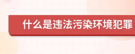 什么是違法污染環(huán)境犯罪