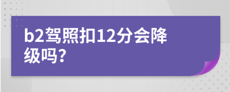b2駕照扣12分會降級嗎？