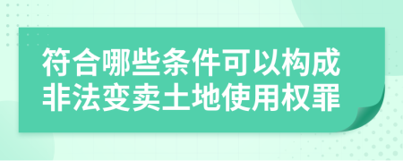符合哪些條件可以構(gòu)成非法變賣土地使用權(quán)罪