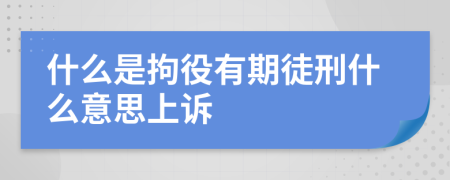什么是拘役有期徒刑什么意思上訴