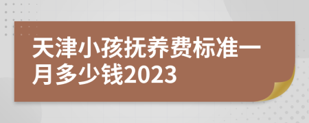 天津小孩撫養(yǎng)費(fèi)標(biāo)準(zhǔn)一月多少錢2023