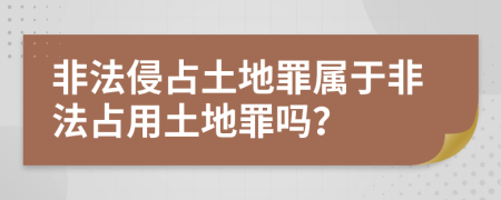 非法侵占土地罪屬于非法占用土地罪嗎？