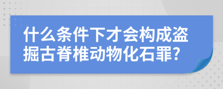 什么條件下才會構(gòu)成盜掘古脊椎動物化石罪?