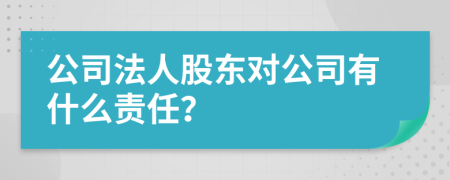 公司法人股東對(duì)公司有什么責(zé)任？