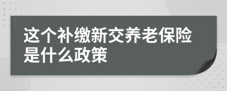 這個補(bǔ)繳新交養(yǎng)老保險是什么政策